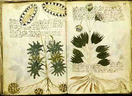 Voynich Manuscript