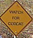 cobcat sign